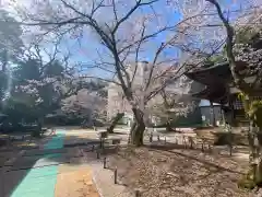 松尾寺(京都府)