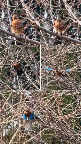 瀧澤龍神(北海道)