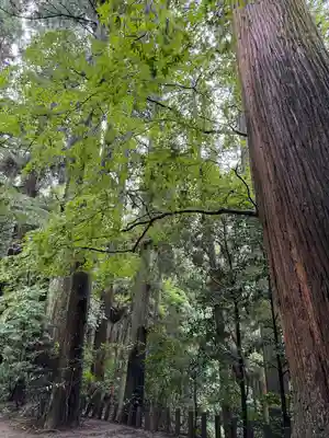 槵觸神社(宮崎県)