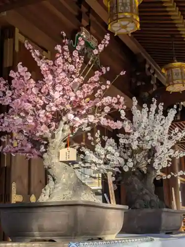 湯島天満宮(東京都)