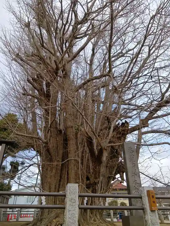 葛飾八幡宮(千葉県)