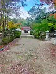 壺井八幡宮(大阪府)