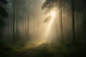 木舟山 順教寺(広島県)(2025年06月05日(木) 14時32分35秒投稿)