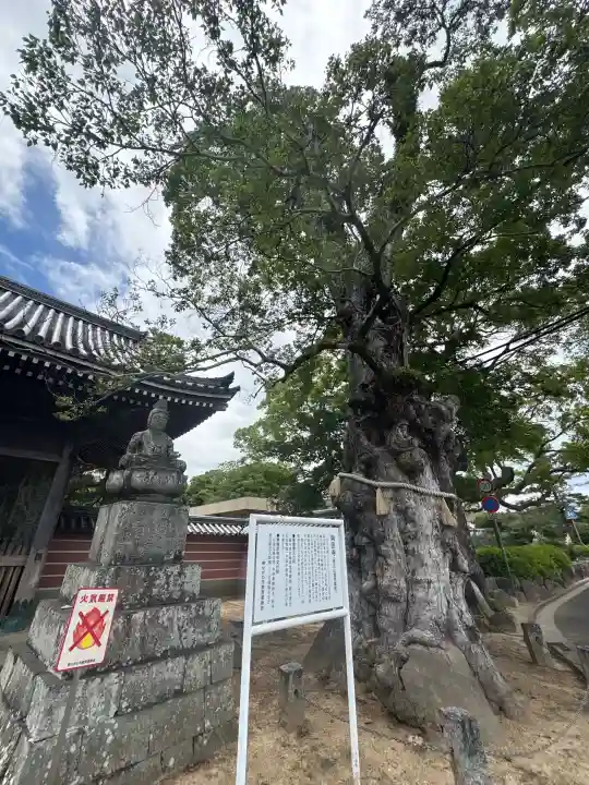 與田寺(香川県)
