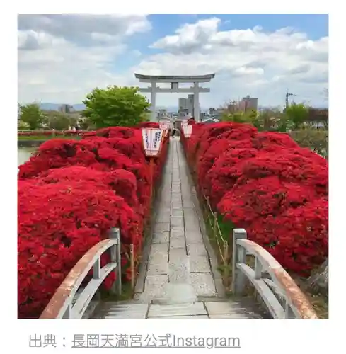 長岡天満宮の景色