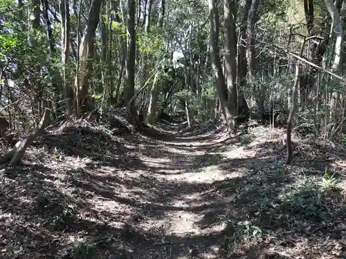 旧愛宕神社の自然