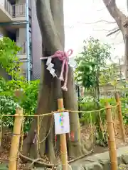 伊和志津神社の自然