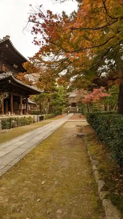 建仁寺(建仁禅寺)(京都府)
