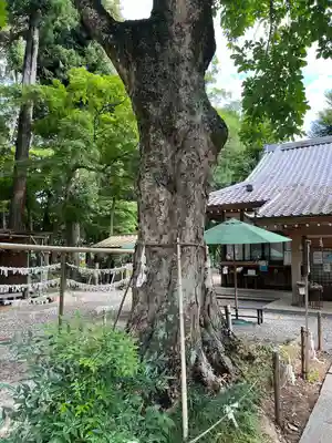 小御門神社(千葉県)