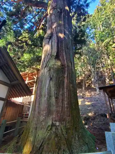 栗生神社の自然