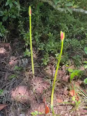 国宝 大法寺(長野県)