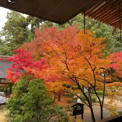金剛輪寺(滋賀県)