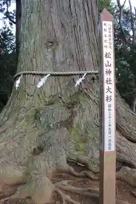 松山神社(千葉県)