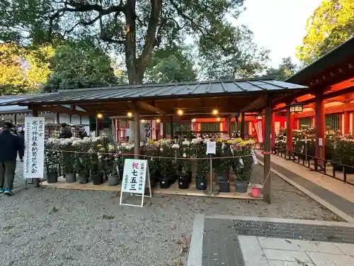 武蔵一宮氷川神社(埼玉県)
