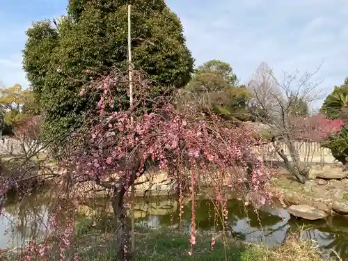 曽根天満宮の庭園