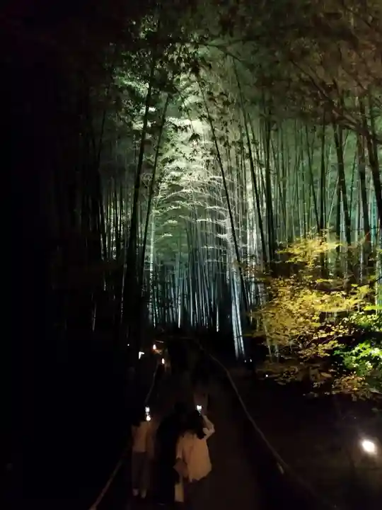 高台寺(高台寿聖禅寺・高臺寺)(京都府)