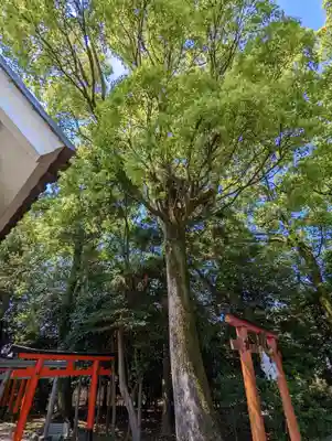 立木神社(滋賀県)