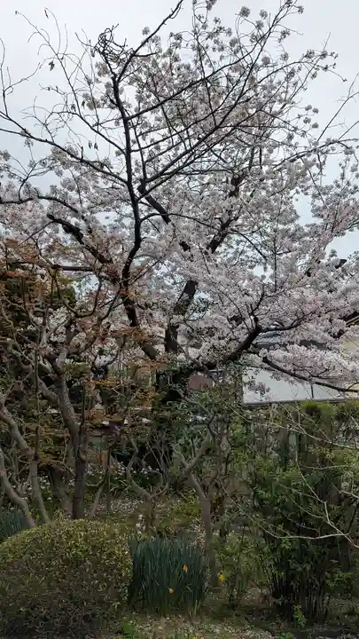 上宮王院聖徳寺(京都府)
