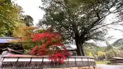 正法寺(京都府)