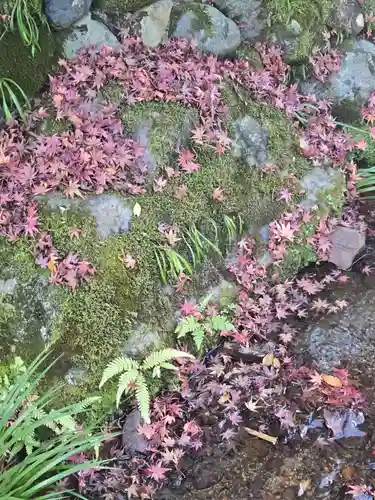南禅寺(京都府)