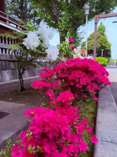 寛永寺(根本中堂)の{uncategorized: "未分類", other: "その他", undefined: "問題あり", building: "その他建物", grave: "お墓", sacred_gate: "鳥居", guardian: "狛犬", statue: "像", buddha: "仏像", history: "歴史", nature: "自然", garden: "庭園", animal: "動物", pagoda: "塔", temizu: "手水舎", mountain_gate: "山門・神門", sanctuary: "本殿・本堂", subordinate: "末社・摂社", art: "芸術", scenery: "景色", jizo: "地蔵", ema: "絵馬", goshuin: "御朱印", omikuji: "おみくじ", items: "授与品その他", amulet: "お守り", goshuincho: "御朱印帳", eats: "食事", festival: "お祭り", votive_dance: "神楽", shichigosan: "七五三参", wedding: "結婚式", experience: "体験その他", initially: "初詣", around: "周辺", anti_infection: "感染症対策"}