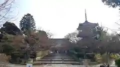 真正極楽寺（真如堂）の建物その他