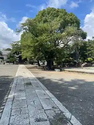 時宗総本山 遊行寺（正式：清浄光寺）のその他建物