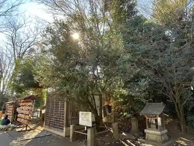 日枝神社水天宮(東京都)