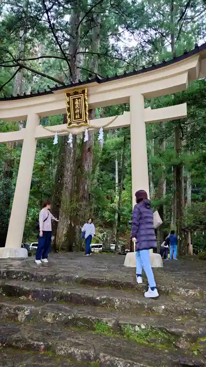 飛瀧神社(熊野那智大社別宮)(和歌山県)