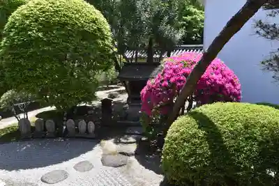 観智院（東寺子院）の庭園