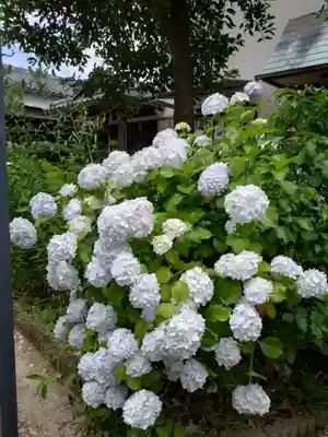 本郷氷川神社(東京都)
