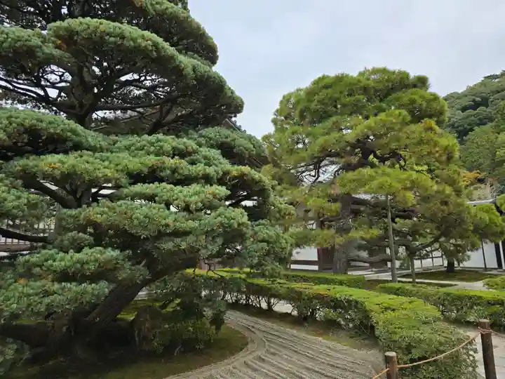 慈照寺(慈照禅寺・銀閣寺)(京都府)