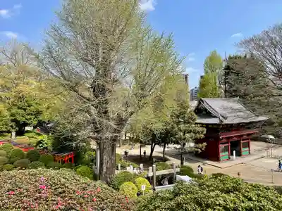 根津神社(東京都)