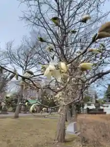 厚別神社(北海道)(2026年04月17日(金) 14時54分09秒投稿)