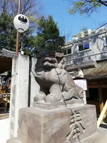 川越熊野神社の狛犬