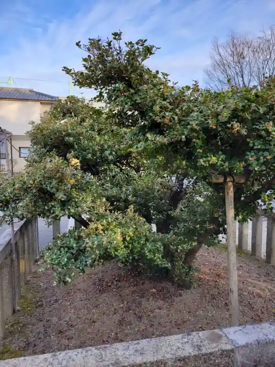 太閤山常泉寺(愛知県)