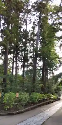 円覚寺(神奈川県)