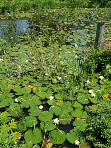 陽林寺(福島県)
