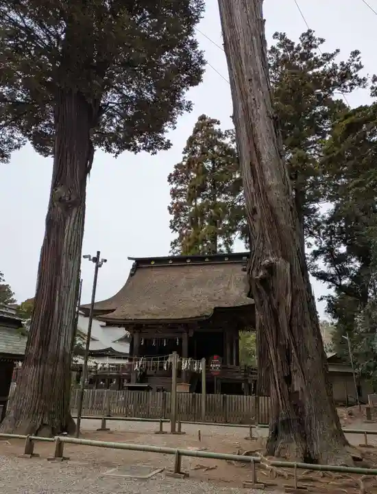 鹿島神宮(茨城県)