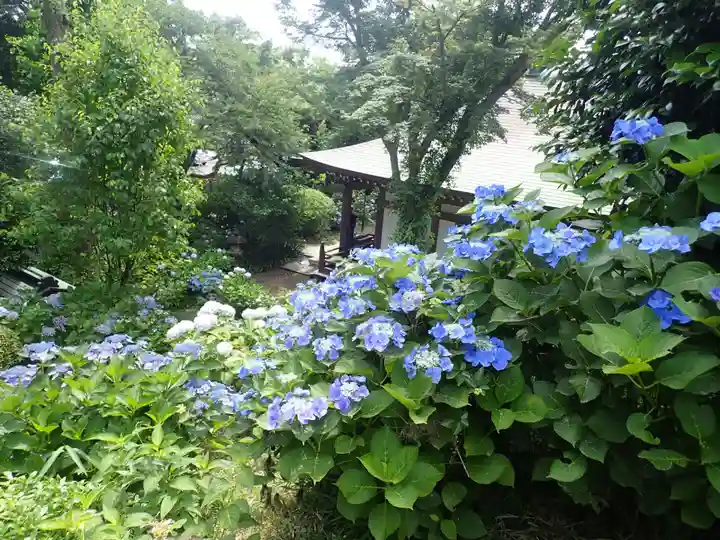妙楽寺(神奈川県)