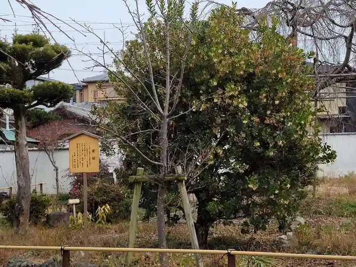 橋寺 放生院(京都府)
