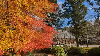 醍醐寺(京都府)