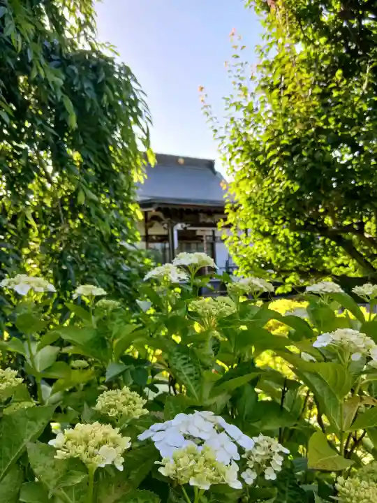 長福寺(千葉県)