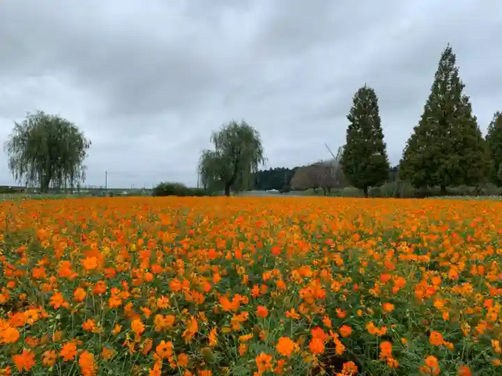 布施弁天 東海寺の自然