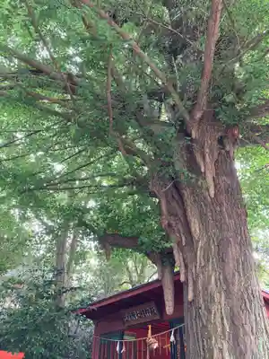 冠稲荷神社(群馬県)