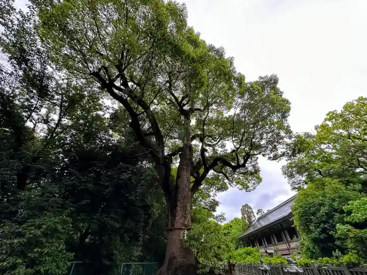 和泉國一之宮 大鳥大社(大阪府)