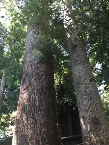 鶴嶺八幡宮のその他建物
