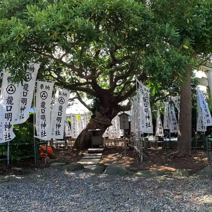 龍口明神社の自然