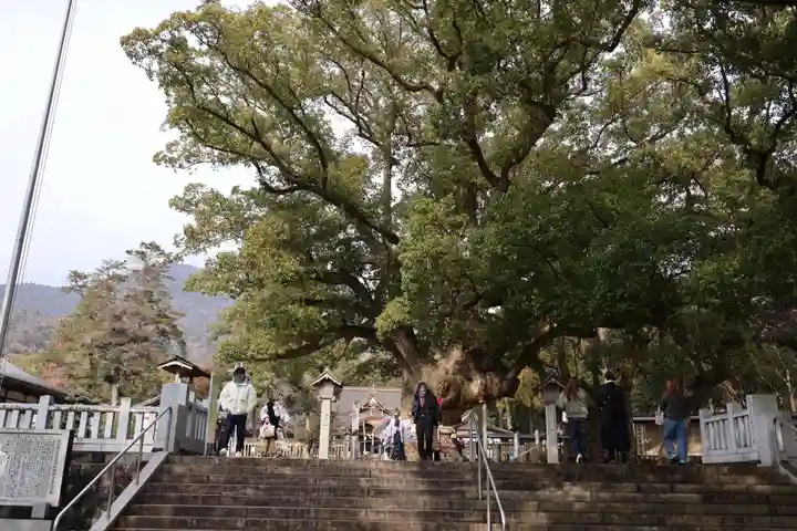 大麻比古神社(徳島県)