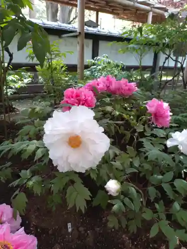 上野東照宮(東京都)